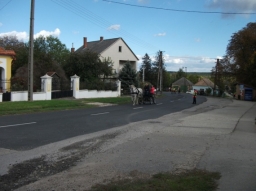 szuret2017_9_20220219